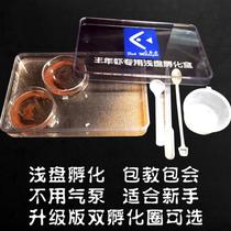 Fengnian Shrimp Incubator Shrimp egg Artemia does not oxygen hatching shallow dish incubator box Fengnian insects large red eggs ultra-fine eggs