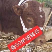 shuan niu dedicated cord fasten sheep dedicated rope Bolt niu sheng dedicated cattle rope collar cattle reins Rama qian yang