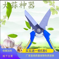 Cut garlic artifact guillotine cut garlic tool cut garlic scissors Electric cut garlic scissors Agricultural garlic onion garlic garlic whisker
