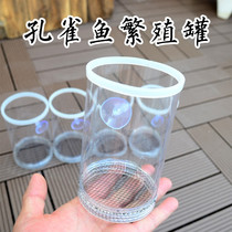  Guppy breeding box Fish tank isolation net birth tank birth box Female fish birth small fish separation delivery room large incubation