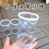  Guppy breeding box Fish tank isolation net birth tank birth box Female fish birth small fish separation delivery room large incubation