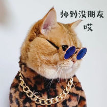 Pet sunglasses cat glasses dog small dog photo Net red funny personality selling cute pet supplies headgear