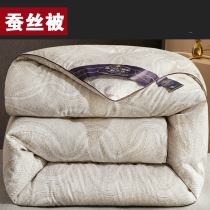 Silk Quilt Winter Quilt thickened warm winter All cotton quilt core Spring autumn quilted by double air conditioning by single person Dormitory Winter