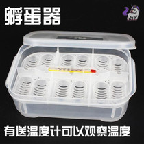 Turtle egg hatching box Turtle egg hatching box Incubator Water turtle egg Lizard egg Snake egg Bird egg Pigeon egg hatching box