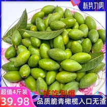  Olive fruit fresh seasonal fruit rock sugar green olives raw freshly picked Fujian Minqing olives Chaoshan sweet olives
