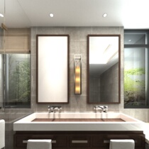 Toilet mirror renovation mirror matte effect switching