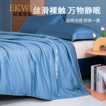 Machine washable true silk Summer quilted by air conditioning by summer cool quilted by students Dormitory Thin Quilt Spring Autumn Summer Quilt Core Washed Pure Color