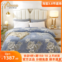 LXRXDD silk quilted by winter by 100 mulberry silk thickened full cotton winter cotton quilted by spring and autumn quilt core