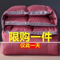 Mercury home textile official flagship store down quilt core winter quilt 95 white goose down quilt winter thickened duck quilt single