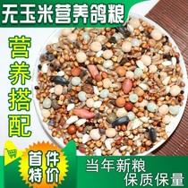 Pigeon grain 20kg no corn white pigeon feed pigeon food pigeon food pigeon grain grains