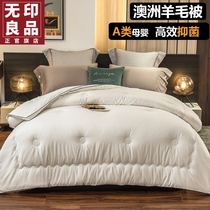 Unstamped Good Quilt Winter quilted by students Dormitory Thickened Warm Wool Quilted by Season Universal Cotton Bedding Spring Autumn Quilt Core