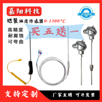 K-type armored thermocouple WRNK-191 type PT100 high temperature resistant flexible temperature sensor probe probe high precision