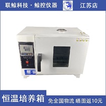 (Whale control instrument) 303 series electric constant temperature incubator 101 202 series blast drying oven oven