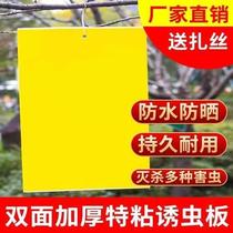 Armyworm board Yellow board double-sided plant trap insect board affixed aphids Small flying black insects Mosquitoes Blue board Thrips fruit fly greenhouse