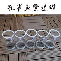Guppy fish separation box fish tank isolation net production tank box mother fish raw small fish breeding delivery room large incubation