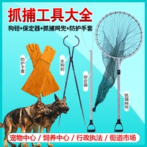Special tool for catching dogs