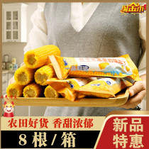 Farmland Good Corn (2 per box when you place an order) 10 corns 1 box of fresh corn 200 grams of rich fragrance SF Express