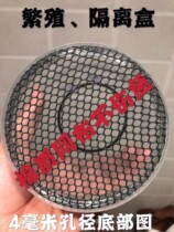 Fry breeding box Guppies fish production incubator box tank isolation box new juvenile fish isolation net small fish incubator