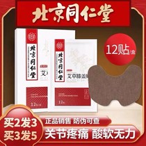 Agrass Knee Sticker 12 slices of Moxibustion Joint Pain Patch Old Chill Leg Kneecap Self Fever Post Beijing Tongrentang