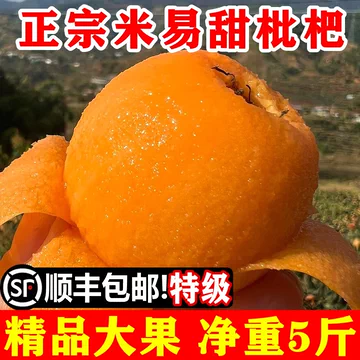 米易大五星枇杷5斤-米易大五星枇杷5斤促销价格、米易大五星枇杷5斤品牌