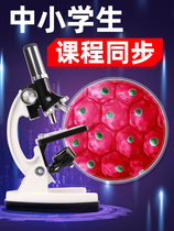 Microscope primary and secondary school students professional biology 1200 times optical childrens science small experiment set 10000 home