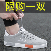 Leading the star Erke canvas mens shoes autumn flat shoes mens cloth shoes summer breathable deodorant low trendy shoes
