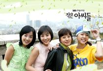 Korean drama little woman Mandarin standard definition 480p can be customized U disk DVD