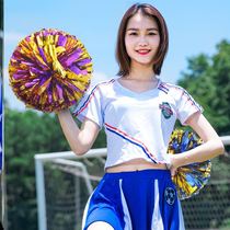 Games kindergarten color professional performance dedicated hand-held school gymnastics performance handle group competition type Flower Ball