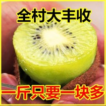 Shaanxi green heart kiwi fruit kiwi fruit fresh mud monkey confused peach season whole box of pregnant women fruit non-Xiang