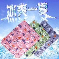 Pet Icing Mat Small Medium Dog Summer Special Cooling Ground Mat Resistant bite breathable multifunction Pooch Sleeping Mat