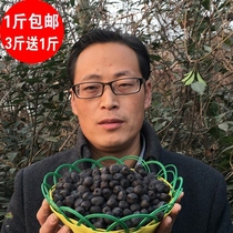 Buy 3 get 1] Yimeng Mountain fresh seedless black jujujube soft jujube small Persimmon soft date Black Date 500g