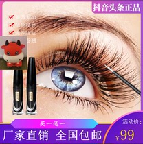 Makeup Yan beauty care franchise store Sunrise Allure Eyelash essence eyebrows applicable