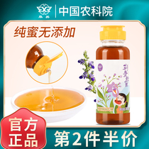 Chinese Academy of Agricultural Sciences Honey Huaxing Jingtiang Honey Pure Natural Portable Wild Bee No Extruded Bottle
