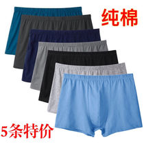 Mens underwear pure cotton flat corner breathable sweat middle and old cotton large-code fat fat loose dad four-corner shorts
