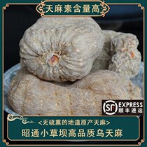 Zhaotong delivers Wutianma Yunnan Zhaotong Xiaopaaba Gastrodia dry goods non-wild special Gastrodia elata powder tablets