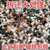 Colorful stone fleshy fish tank bottom flower stone flower Flower Flower Stone small stone potted plant shop small stone colorful stone