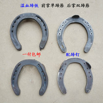 Warm-blooded horseshoe horseshoes widened and thickened Horseshoe palms