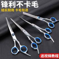 Curved scissors pet haircut straight scissors Curved scissors home puppy flat scissors hairdressing pet scissors tool