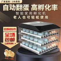 Factory direct automatic household hatching machine Chicken duck goose Pigeon bird small hatcher Incubator hatching box