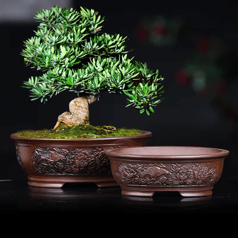 紫砂盆花盆长方形-紫砂盆花盆长方形促销价格、紫砂盆花盆长方形品牌- 淘宝