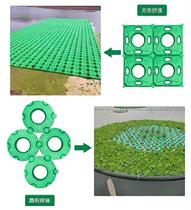 Floating basin planting vegetables with holes foam floating circle fish pond flower water planting floating island plastic floating plate artificial design ecology