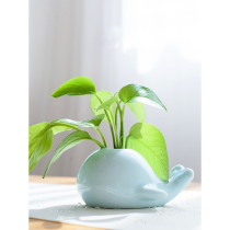 Creative whale elephant celadon small vase home hydroponic ceramic ornaments tea ceremony flower insert fashion personalized flower