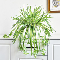 Simulation plant green plant Phnom Penh hanging orchid potted hanging hanging basket decoration balcony indoor plastic flowers fake flower bonsai