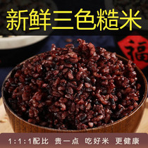 Three-color brown rice fat minus new rice black rice brown rice red rice red rice coarse grain fitness grain 5kg coarse grain