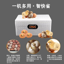 (High hatching rate) small household automatic intelligent water bed incubator mini incubator chicken incubator