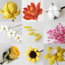 ins dried flower decoration Eternal Flower star eucalyptus eucalor living room bedroom diy floral decoration light luxury floral ornaments
