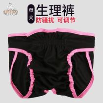Large Pooch Physiology Pants Female Dog Large Dog Pet mother dog aunt Towel Diaper not wet gold Mao sanitary menstrual safety pants