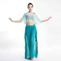 Belly Dance 2020 Practice Clothing Sexy Top Flash Point Mesh Floss Performance Clothes Ruffles Pant Skirt