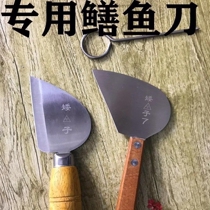 Eel knife sharp artifact killing eel knife eel knife cutting eel tool eel boning knife cutting Loach tool
