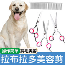 Labrador Special Beauty Scissors Pooch Hair Cut Tool Suit Professional Hair Cut Dog Hair Hairdresser